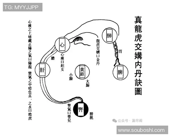 探索太极混元桩功的深厚内涵与实用价值之旅