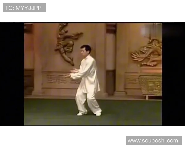 探索太极老架一路的奥秘与精髓，传承与创新的完美结合之旅